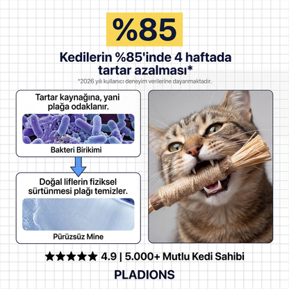 Doğal Dental Sticks®