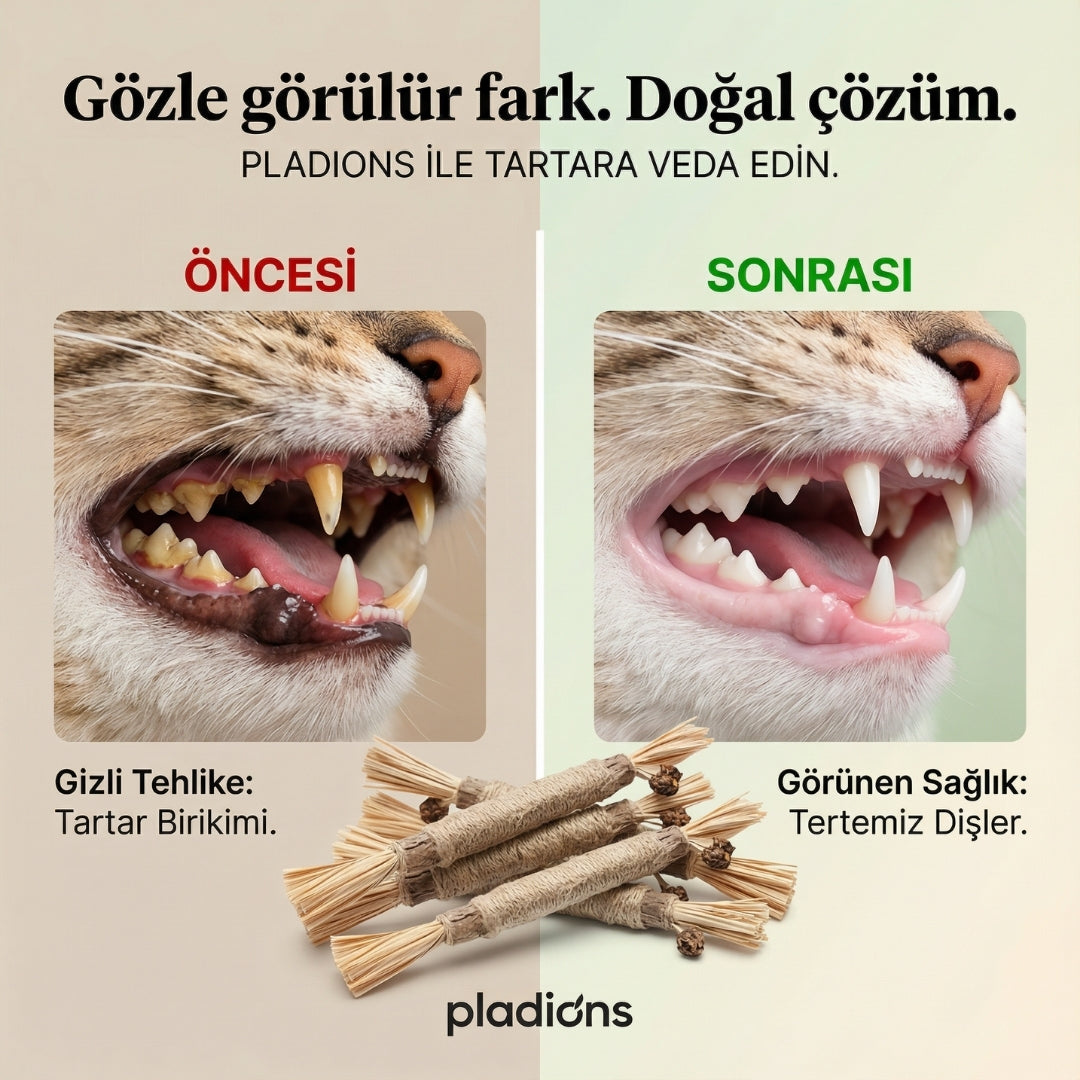 Doğal Dental Sticks®