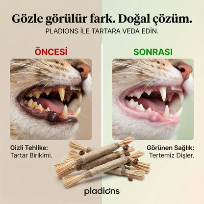 Doğal Dental Sticks®