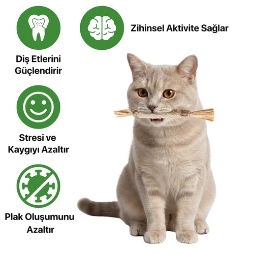 Kediler için doğal dental sticks diş taşı önleyici ve ağız bakımı.