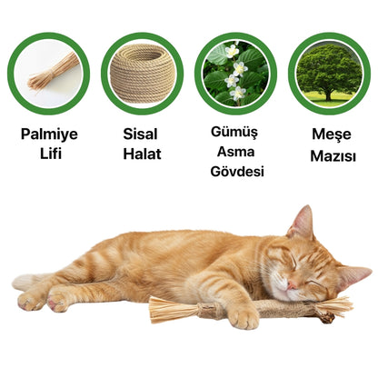 Kediler için doğal dental sticks içeriği palmiye lifi sisal halat gümüş asma ve meşe mazısı.