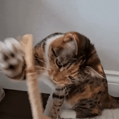 Doğal Dental Sticks®